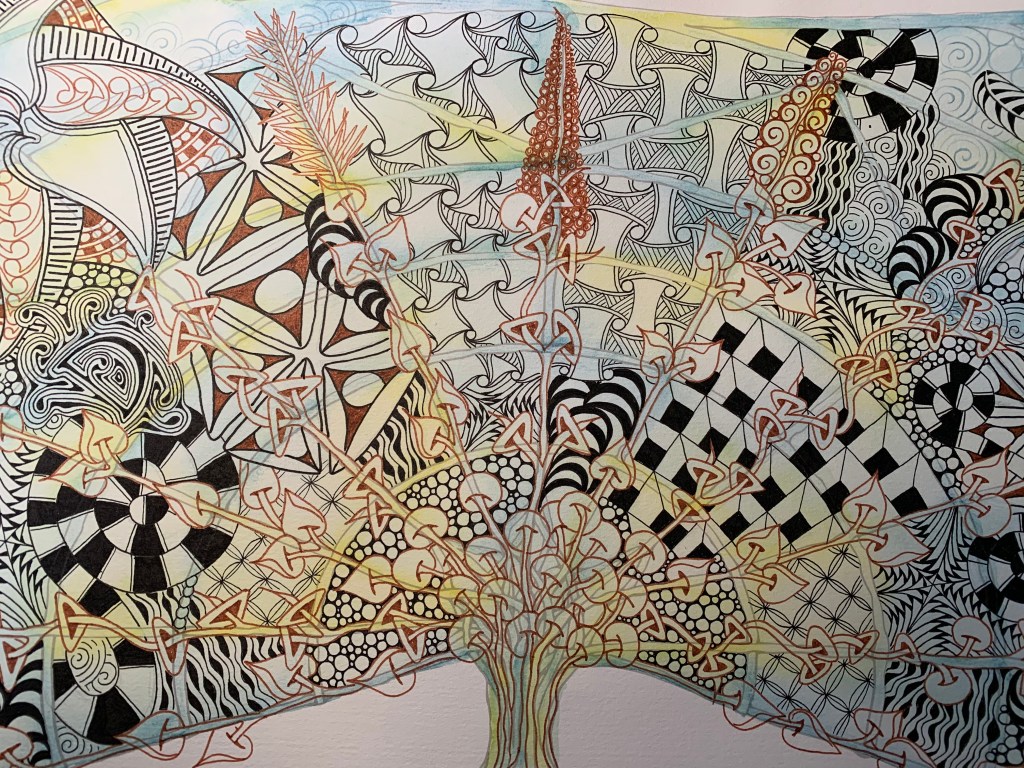 Project Pack 19&nbsp;Continued