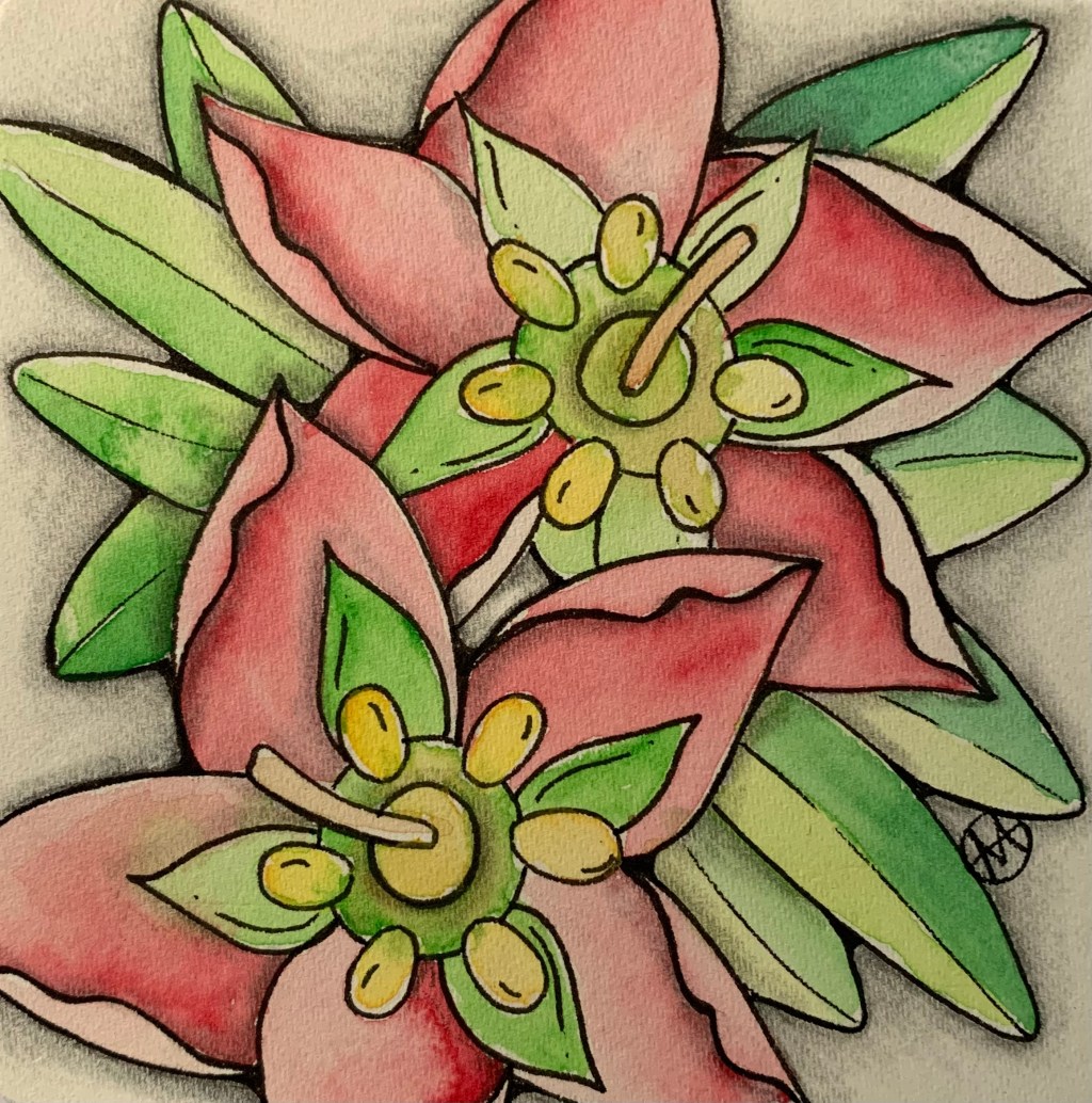 Settia – my new&nbsp;pattern